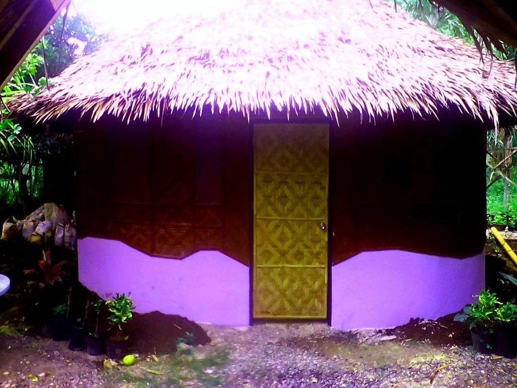 Lennon'S Place Backpacker Hostel Panglao Luaran gambar